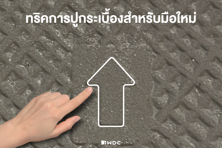 เทคนิคการปูกระเบื้องสำหรับมือใหม่