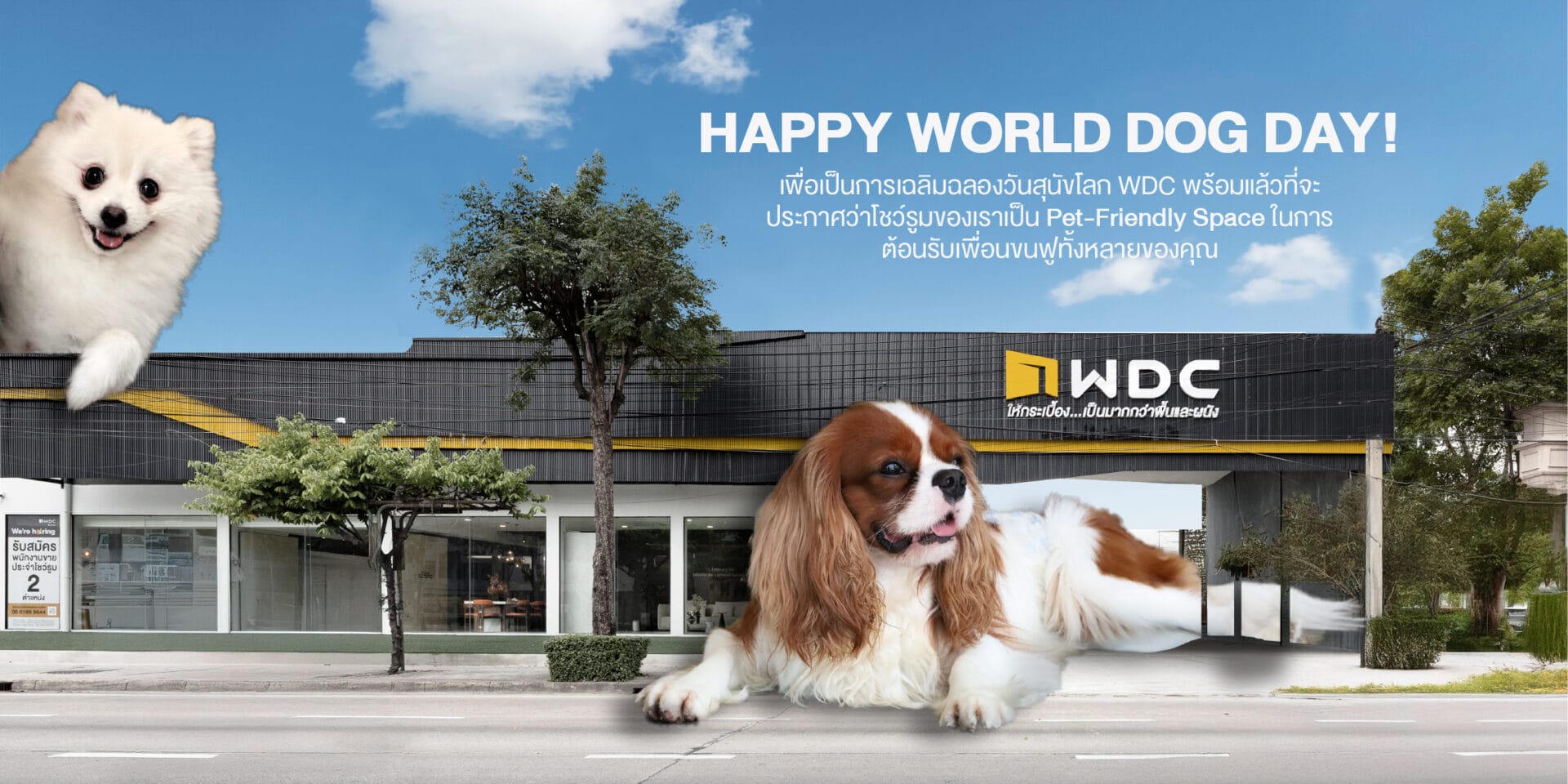cover pet showroom