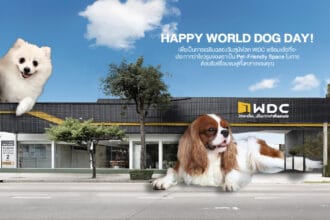 final cover pet showroom