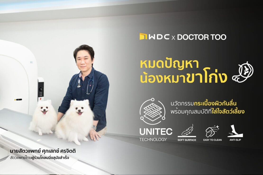 Web_WDCXDC TOO (1)